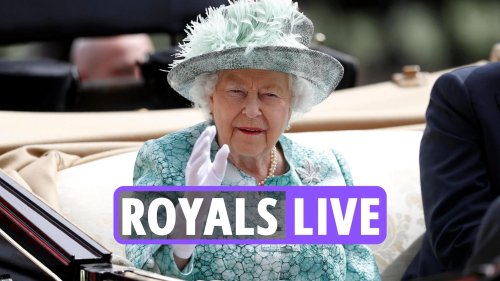 Queen Elizabeth news: Her Majesty ‘got fed up’ of Walkabouts after fans ‘stuck cameras & IPads DIRECTLY in her face’