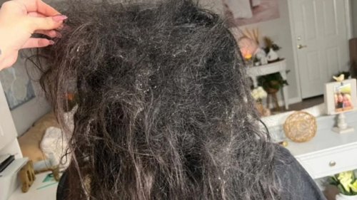 I’m a hairdresser & was called to help with a girl’s matted hair – I was stunned by what I saw inside but transformed it