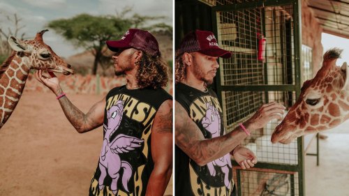 Fans all say the same thing as Lewis Hamilton reveals dramatic new hairdo as he pets baby giraffe and elephant in Kenya
