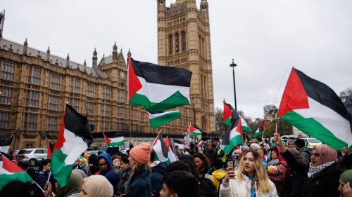 Ban politicians from engaging with groups behind Palestine marches until they stop causing mayhem, No10 adviser demands