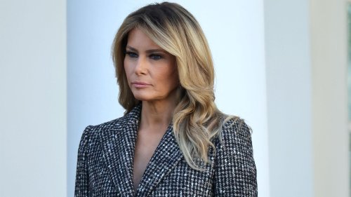 Ex-porn star Stormy Daniels brands former First Lady Melania Trump a ‘vapid b****’ in vile public comments on model