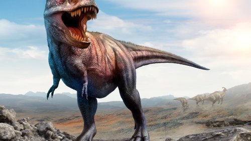 Jurassic Park version of T-Rex didn’t exist – they actually looked ...