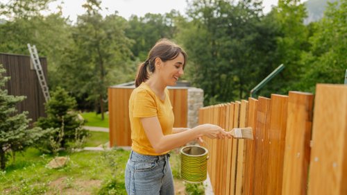 Aldi is selling bargain £3.99 set that’s perfect for transforming your fence this spring