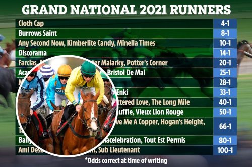 Grand National 2021 runners: Confirmed line-up of 40 as Storyteller OUT, Cloth Cap favourite for TODAY’s race at Aintree