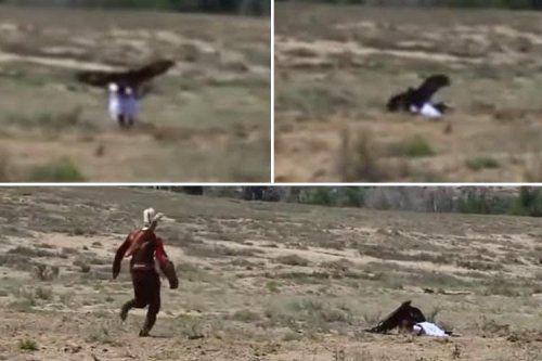 Shocking moment massive golden eagle swoops on eight-year-old girl and savages her
