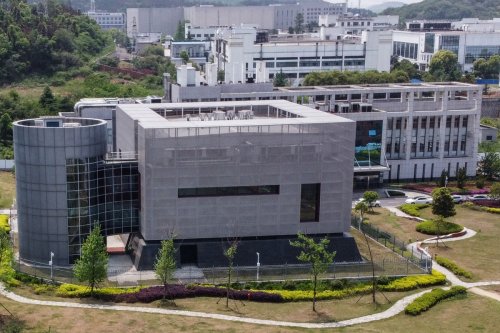 Lancet scientists who trashed Covid leak theory 'have links to Wuhan lab'