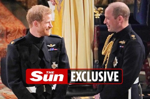 Prince Harry talks with senior royals put on hold because of constant leaks ‘from the Sussex side’