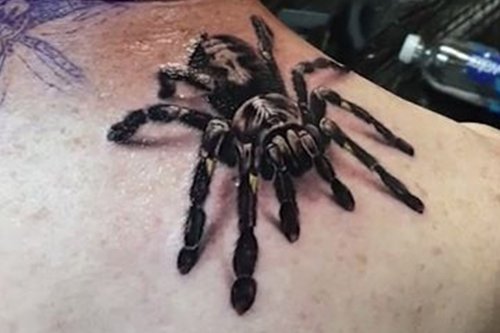 Man’s 3D spider tattoo is so realistic it has arachnophobes screaming in horror