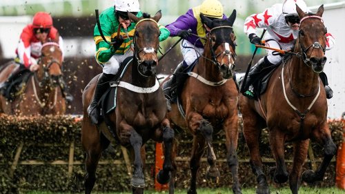 Horse racing tips: Templegate’s 50-1 Cheltenham Festival Champion Hurdle fancy could be worth a small each-way punt