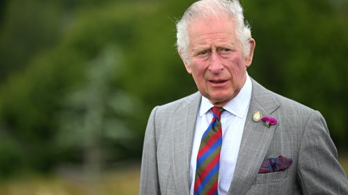 The King told not to hurt any newts when building gift shop at Highgrove House