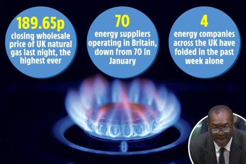 More energy firms to fold with millions facing hiked gas and electric bills