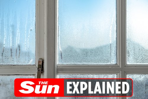 Why do windows steam up on the outside?