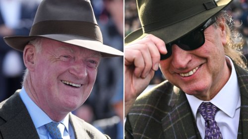 Willie Mullins and Rich Ricci buy potential superstar horse who looks just like the next Lossiemouth