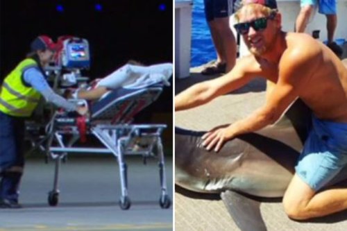 'Shark rider' filmed jumping onto back of beast before horror mauling