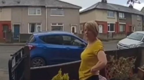 My Ring doorbell caught my neighbour’s dog pooing outside my house and people love my payback