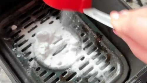 Ninja shares the definitive way to clean your grubby air fryer using two products – but it divides some foodies