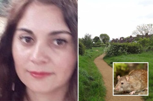 Mum 'attacked by more than 100 RATS' who chewed her arms and legs in park ambush