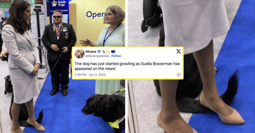 Um, Suella Braverman stood on a guide dog so here are the best memes about Suella de Vil