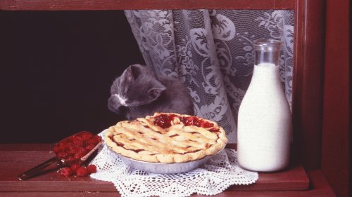 Depression-Era Desserts That Deserve A Comeback