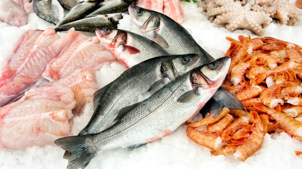 Seafood and Fish