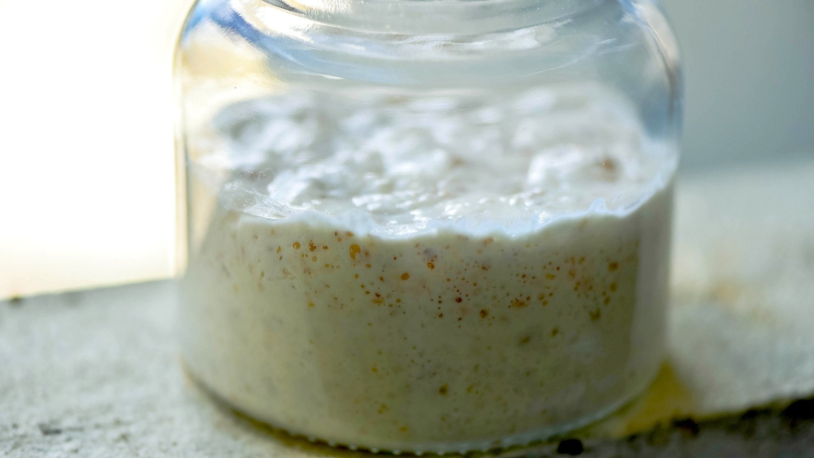 Here's How To Tell When It's Time To Throw Out Your Sourdough Starter