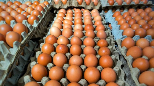 The Largest Egg Recall In US History Caused Nearly 2 Thousand To Fall