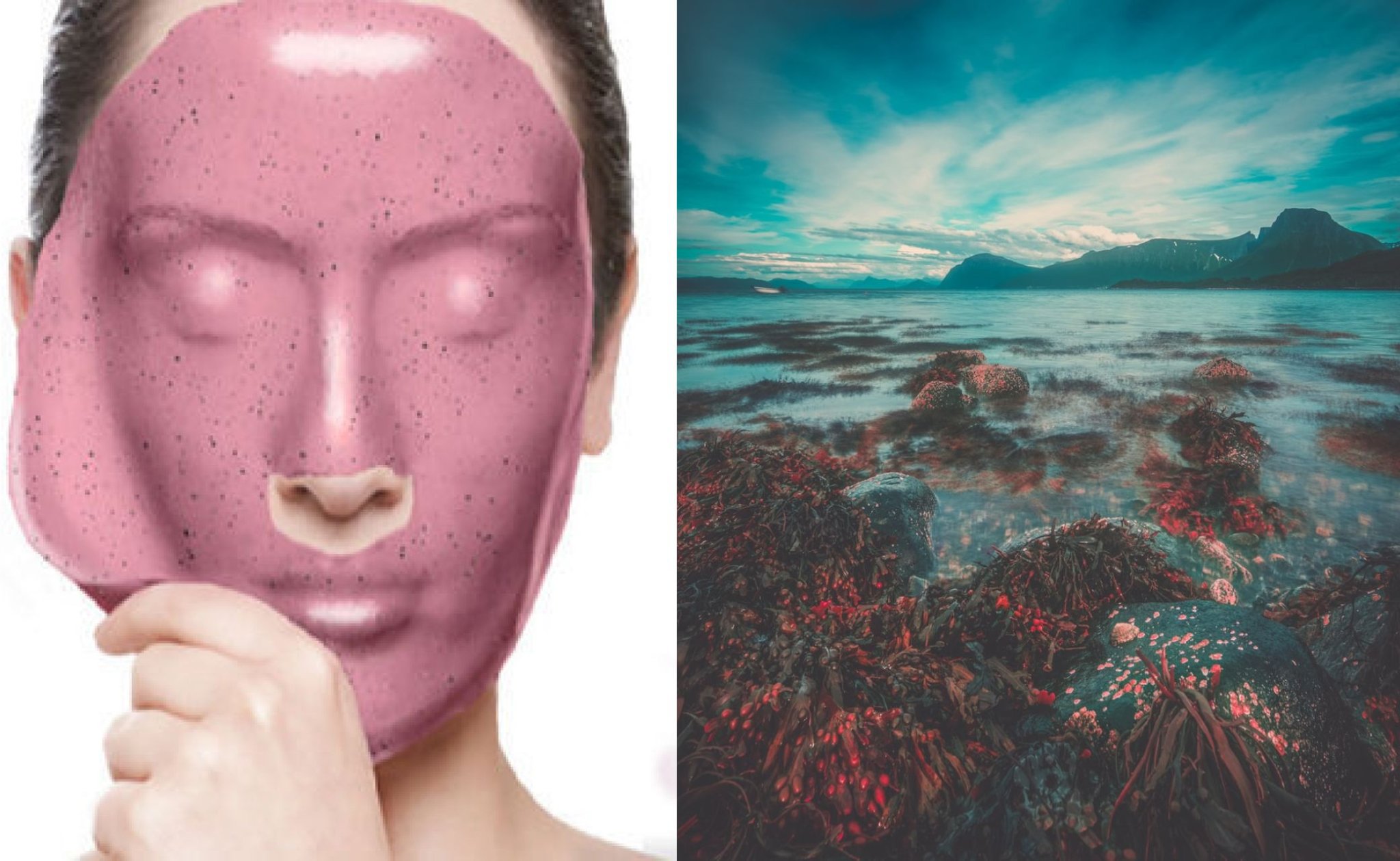 Why Algae Is The Newest Beauty Product Ingredient | TheTalko.com