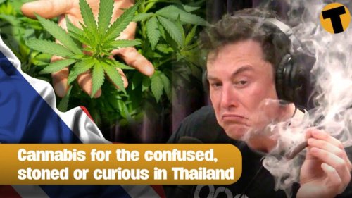 Cannabis for the confused, stoned or curious in Thailand I Lawyers, Guns and Money
