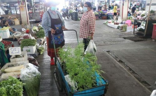 Cannabis vendor in central Thailand is making bank