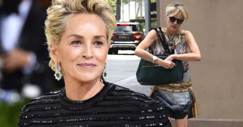 Sharon Stone's Former Nanny Was Fired After This