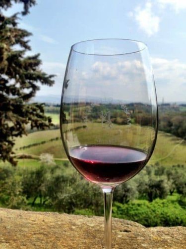 Wine Travel and why it might just be the best kind of travel