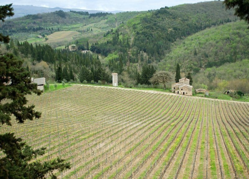 Tavarnelle, Chianti - The Good Life