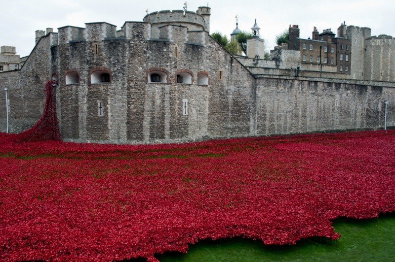 The Tower of London Poppies and a tribute