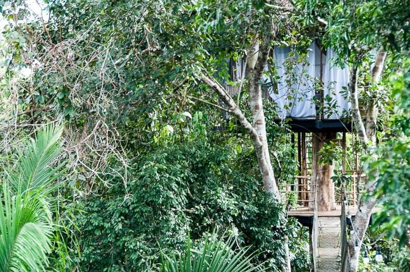 A Treehouse Stay in the Amazon Jungle