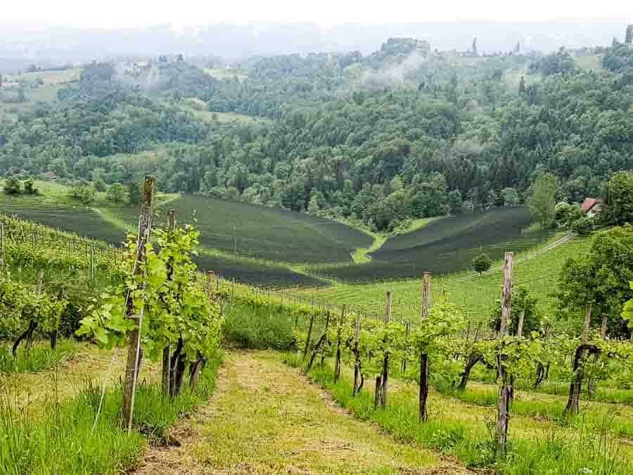 Südsteiermark, Austria | the South Styrian Wine Road