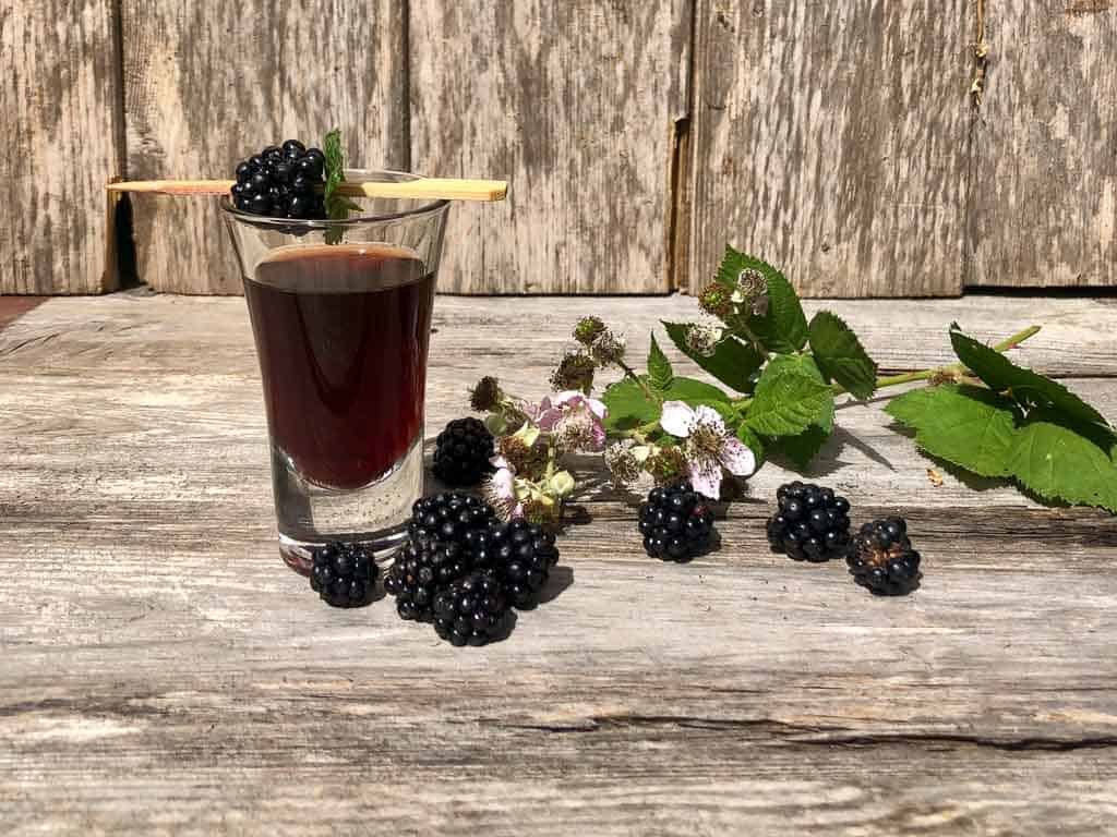 Simple recipe for Blackberry Vodka