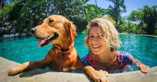 The Top 8 Pet-Friendly Hotels In The Caribbean
