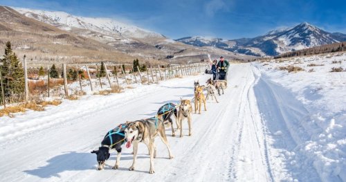 Everything You Can Do In Utah In The Winter (Besides Skiing)