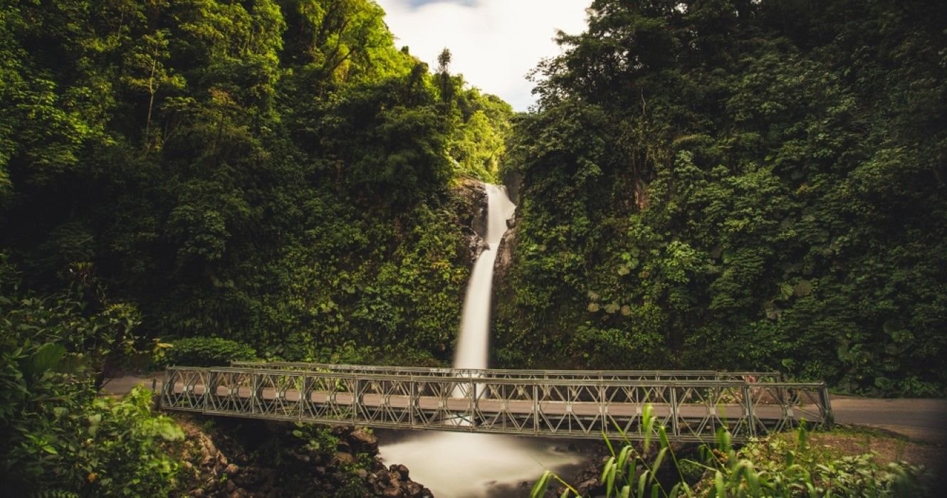 Experience Famous Waterfalls And Native Species In Costa Rica’s Central Highlands