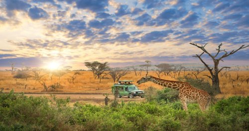 Top 10 Vacation Destinations In East Africa