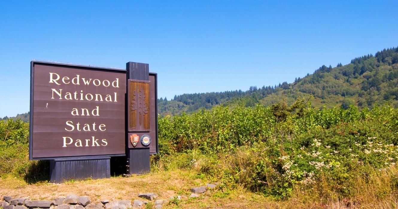 10 Unbelievably Beautiful Hikes You Need To Take In Redwood National Park