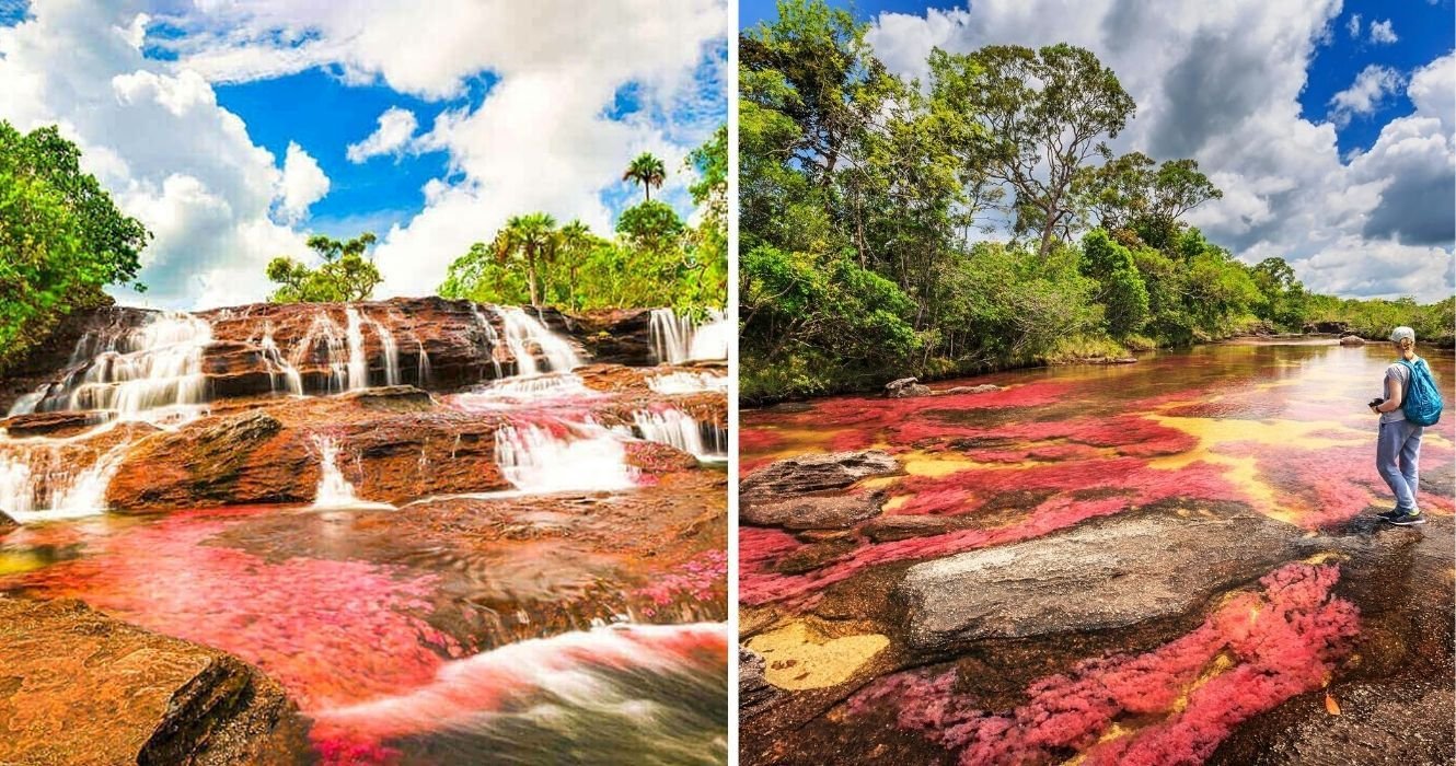 These Traveler Photos Prove That Caño Cristales Is The Most Colorful River In The World