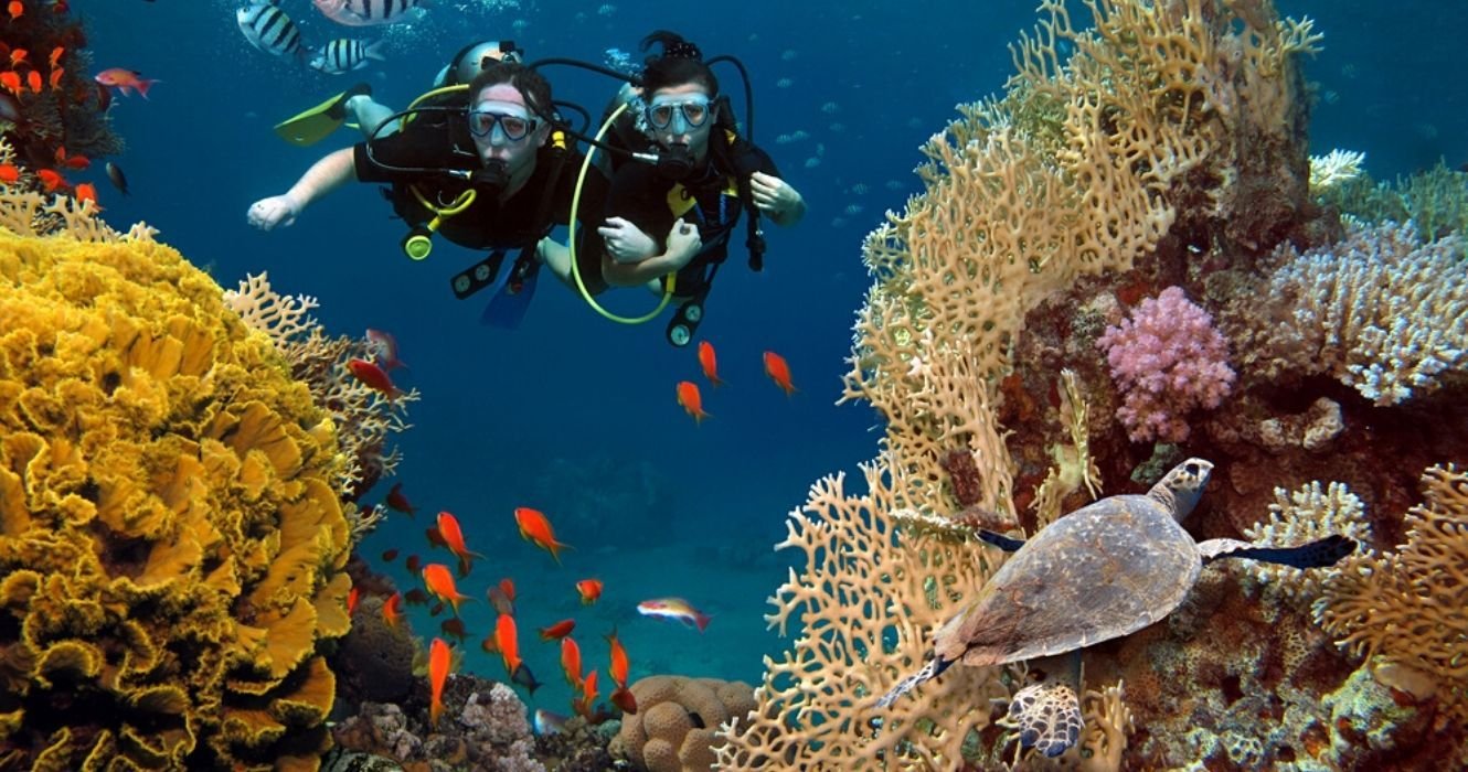 Want to Learn to Scuba Dive? Here Are The Best Places For Beginners To Take The Plunge