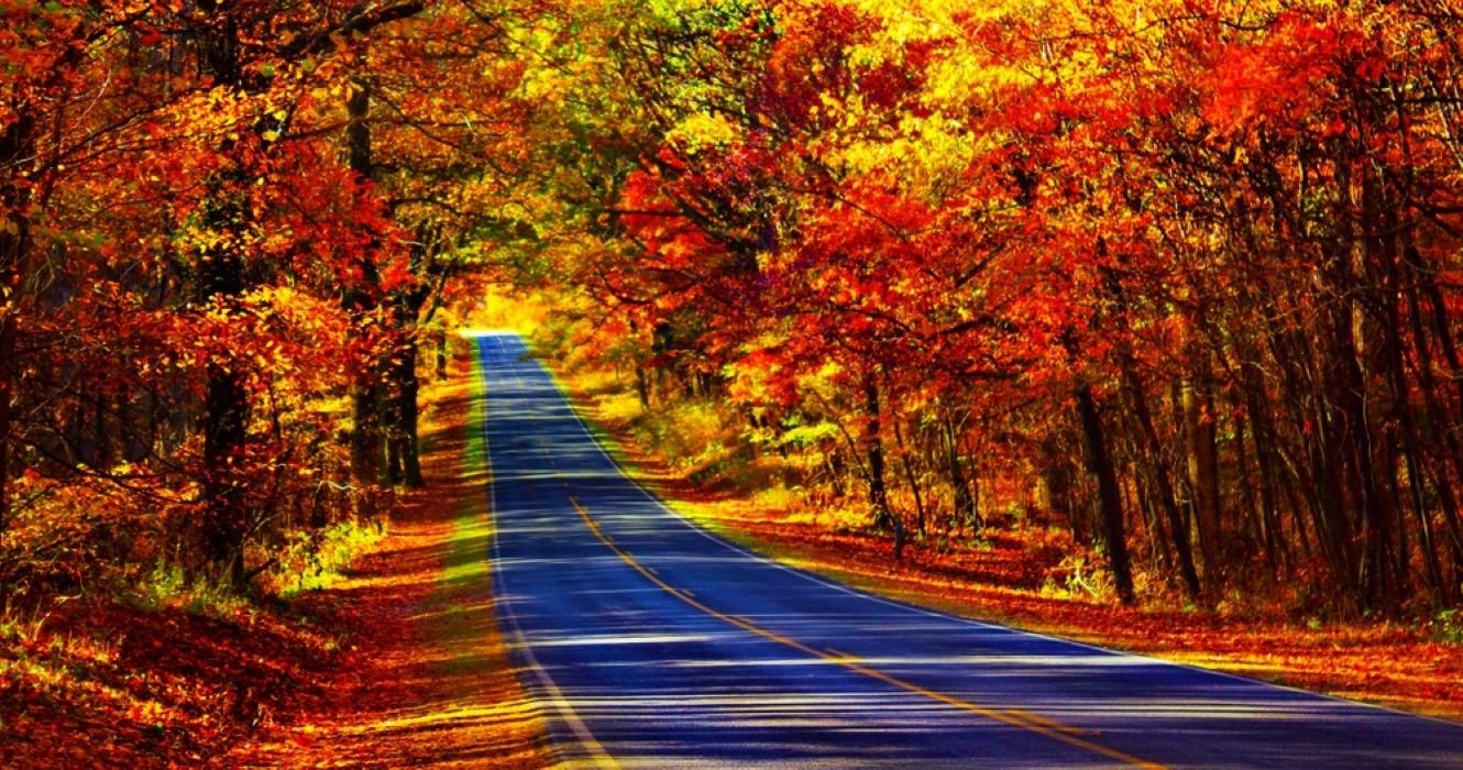 10 Bucket List Road Trips To Take In The US This Fall