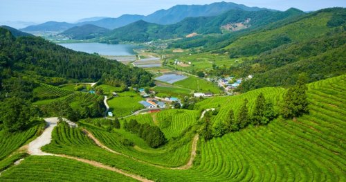 10 Stunning Places To Visit On Your Next Vacation In South Korea