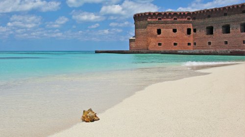 Is Dry Tortugas National Park Worth The Trip? Here's Why We're Saying Yes