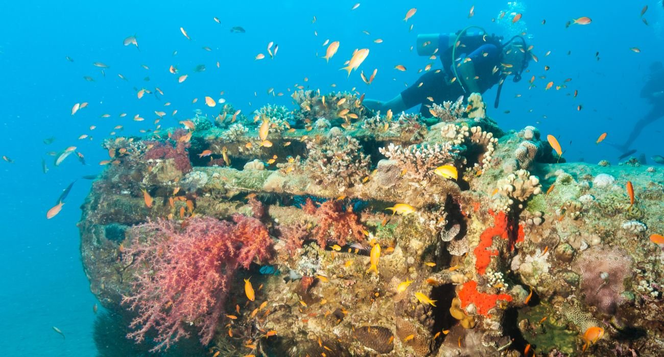Dive America's Very First Marine Sanctuary See The Iconic Monitor