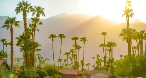 Palm Springs: Why You Should Visit This Snowbird's Oasis