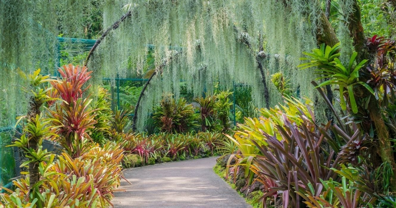 Singapore Is A Must Visit For Plant Lovers, And These Botanical Gardens Are Why
