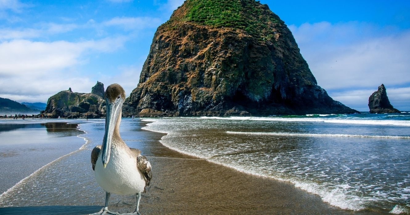 This Is Everything You Can Do At Cannon Beach, Oregon